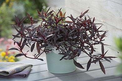 恐怖FPS游戏《杀戮间3》公布 2025年初发售