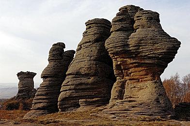 《圣兽之王》Switch体验版上线 存档进度可继承